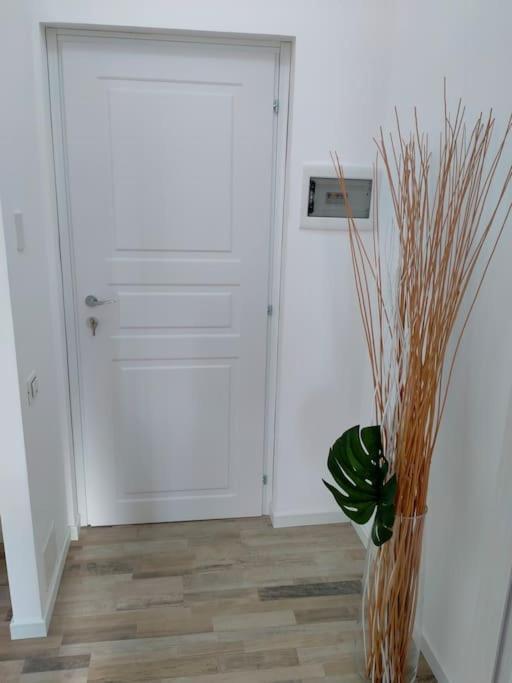 Suite Room Malpensa B&B Cardano al Campo Kültér fotó